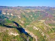 Top Zibo