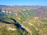 Top Zibo