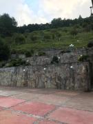 Top Pinal de Amoles