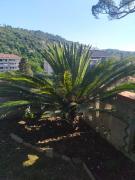 Top Casarza Ligure