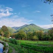 Top Saint-Jean-du-Gard