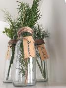 Top Gubbio Top Gubbio