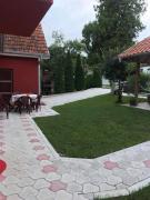 Top Soko Banja