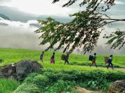 Top Hương Bá Thước