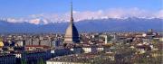 Top Turin