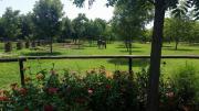 Top Skeerpoort