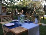 Top Larino Top Larino