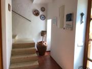 Top Els Muntells Top Els Muntells