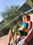 Top Gaiole in Chianti