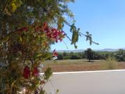 Top Arcos de la Frontera