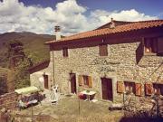 THE DORMOUSE - Il Ghiro