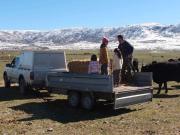 Top Cabanillas del Monte