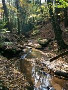 Top Lauf an der Pegnitz