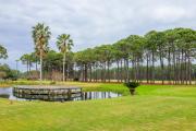 Top Destin