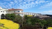Top Seogwipo
