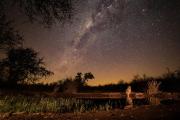 Antares Bush Camp & Umgede Hide