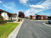 Top Holbrook