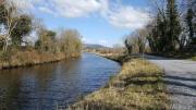 Top Carrick on Shannon