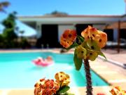 Top Costa Del Silencio