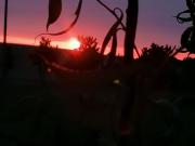 Ferienwohnung am Haffberg