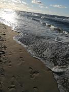 Top Sarbinowo Top Sarbinowo