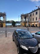 Top Arona
