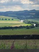 Stay On The Hill - The Coach House