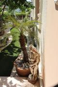 Top Paphos City