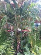 Top Fort Lauderdale