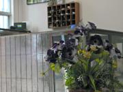 Don Luis Hostal - Sucursal Hidalgo - Tecolutla