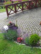 Top Wisła Top Wisła