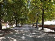 CozyBricks in Lucca - Apartments in Lucca Historical Center - Air Cond & WiFi -