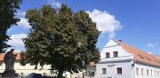 Top Brno Top Brno