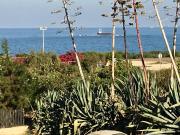 Top Paphos City