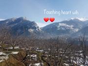 Top Shimla