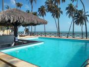 Eco Paradise Temporada Aconchegante - Joana Vasconcelos