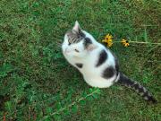 Haus Gertrude Hörack