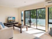 Penguins by the Beach