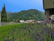 Top Vernante Top Vernante