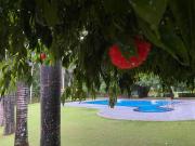 Top Palakkad