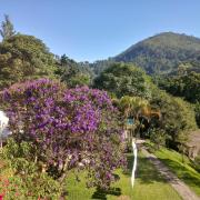 Top Itaipava