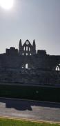 Top Whitby