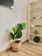 Top Santa Cruz de la Palma