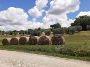 Top Castiglione dʼOrcia