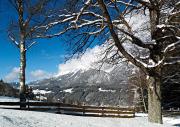 Top Haus im Ennstal