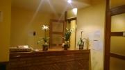 Top Pintano
