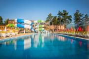 Top Velingrad