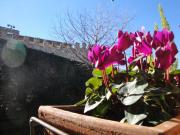 Top Desenzano del Garda