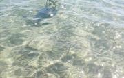 Top Pietra Ligure