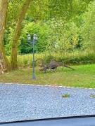 Top Bouillon Top Bouillon